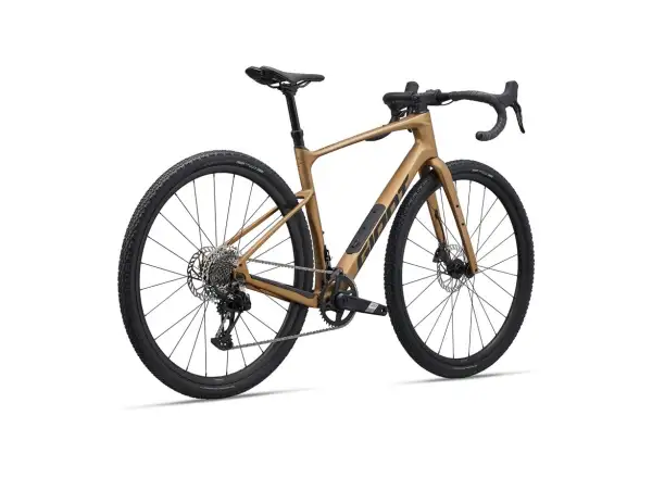 Giant Revolt Advanced 1 gravel rower Steampunk