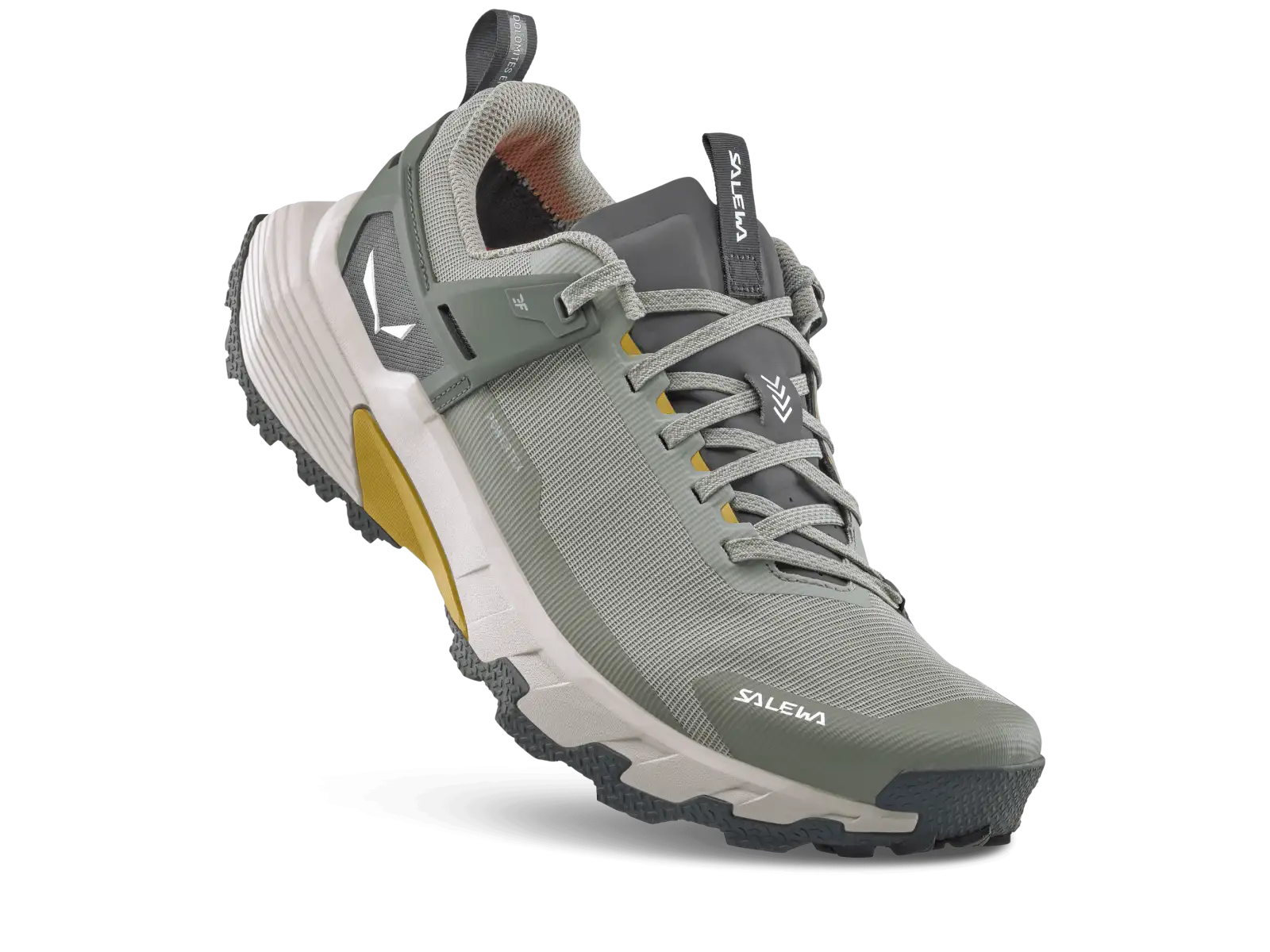 Salewa Pedroc 2 PTX męskie buty turystyczne Shadow/Faded Green