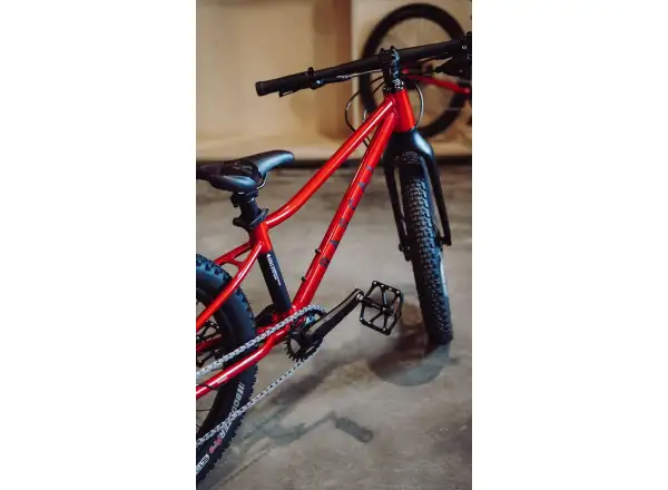 Rascal Wild 20 rower dziecięcy Ruby Red