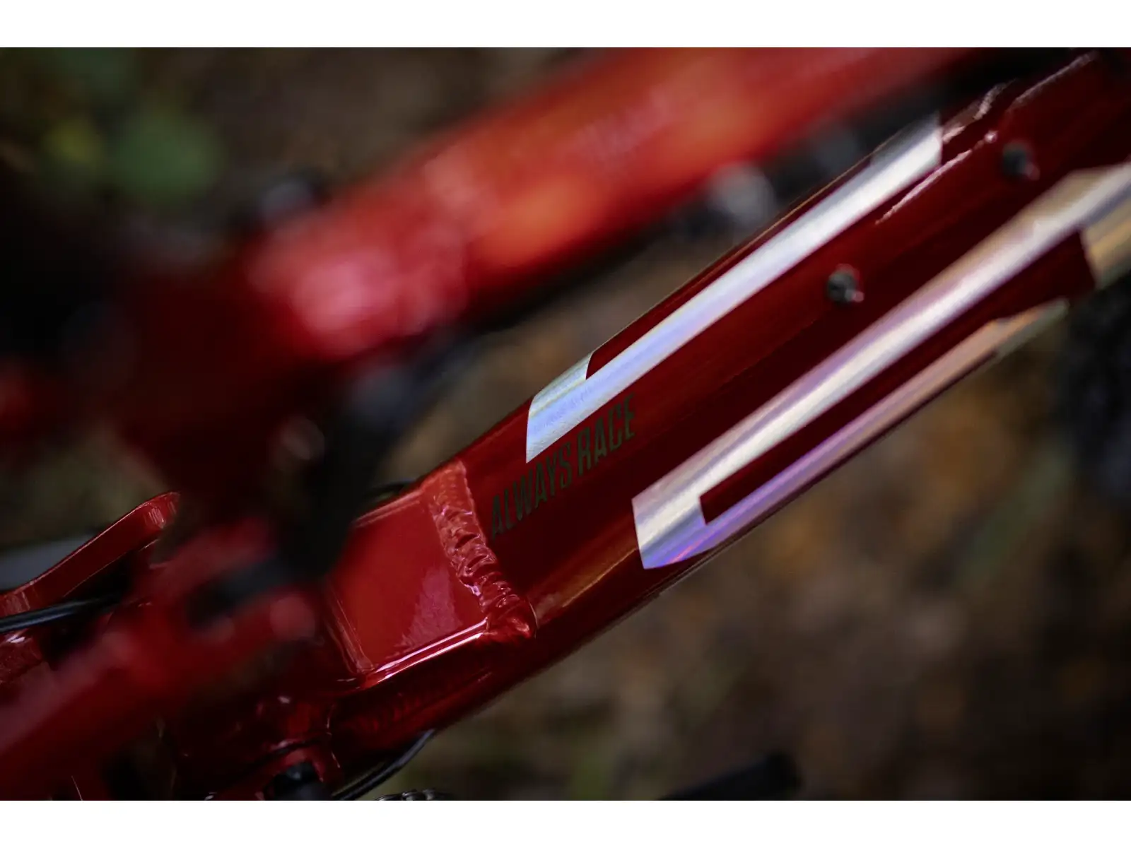Superior XF 919 RC rower górski Gloss Dark Red/Hologram Chrome