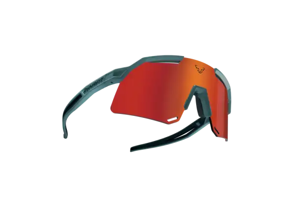 Dynafit Ultra Evo okulary Storm Blue/Blueberry