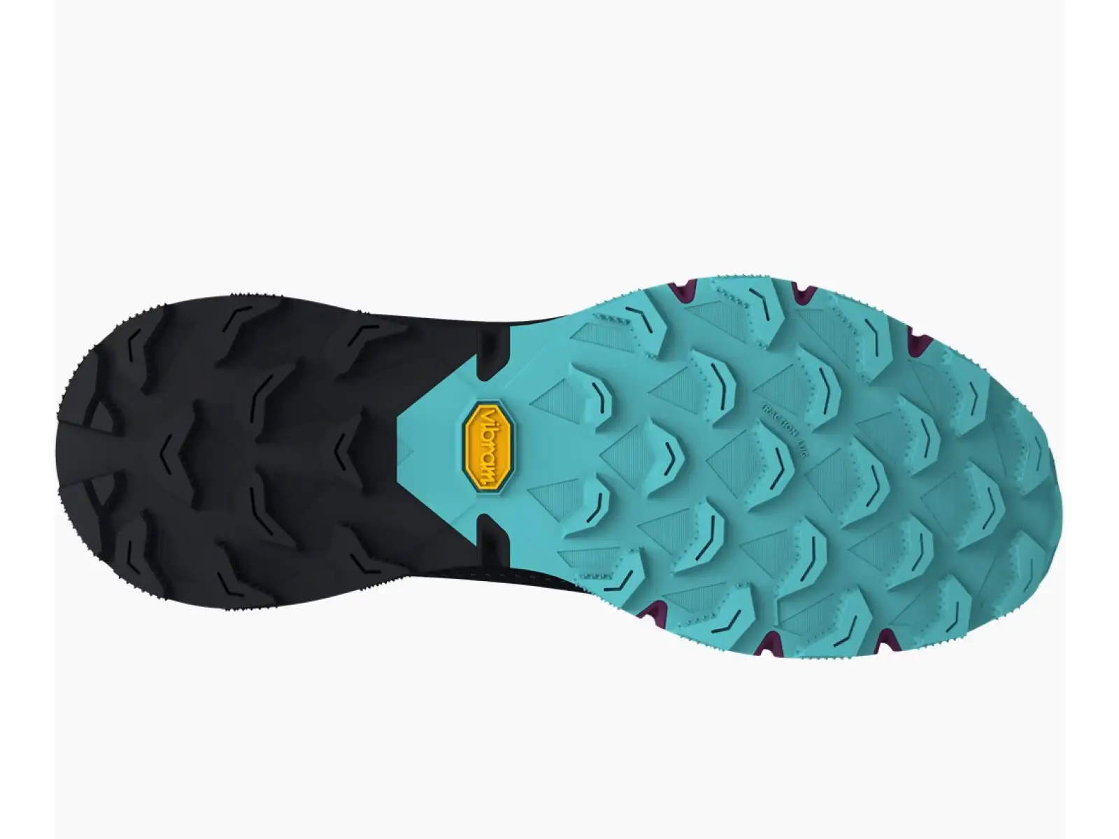 Dynafit Ultra 100 GTX damskie buty Royal Purple/Black Out