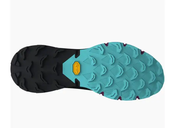 Dynafit Ultra 100 GTX damskie buty Royal Purple/Black Out