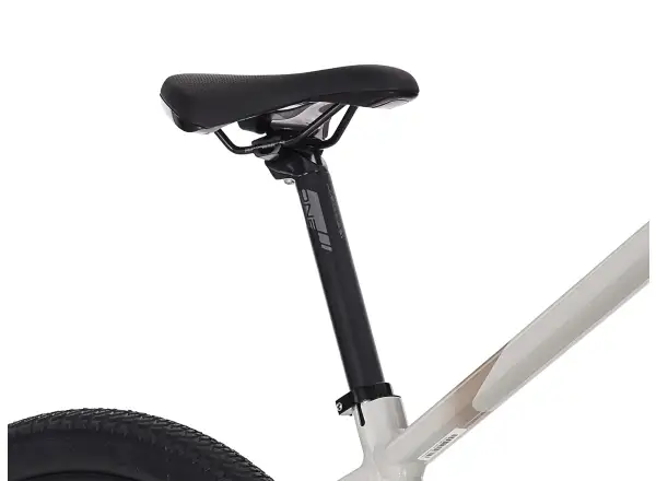 Superior eXC 6.2 górski rower elektryczny Gloss Dust