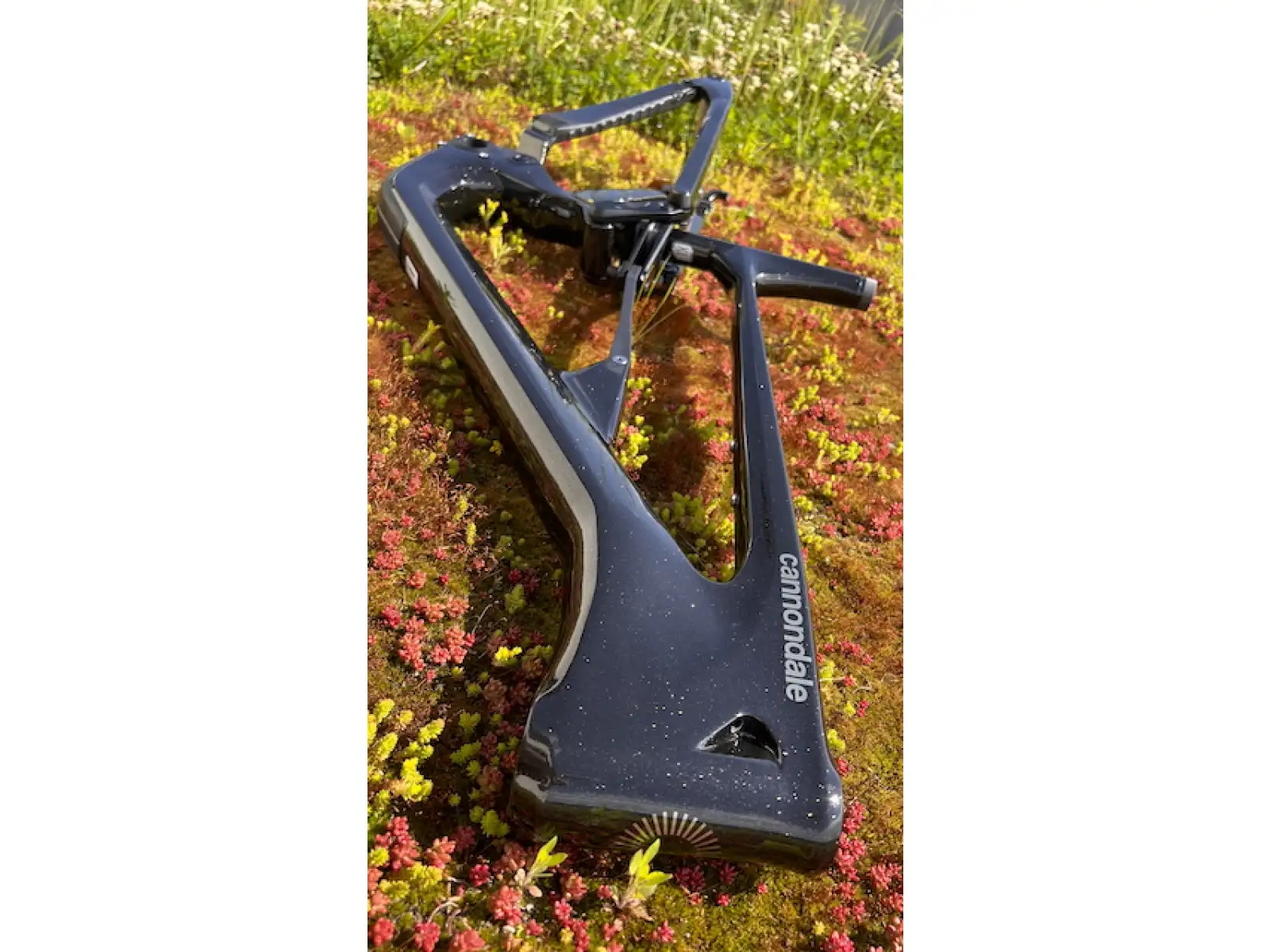 Cannondale Habit Carbon 29" MTB rama GDT