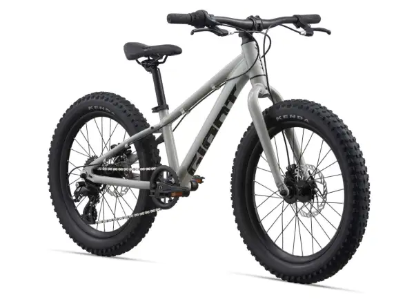 Giant STP 20 rower dziecięcy Concrete