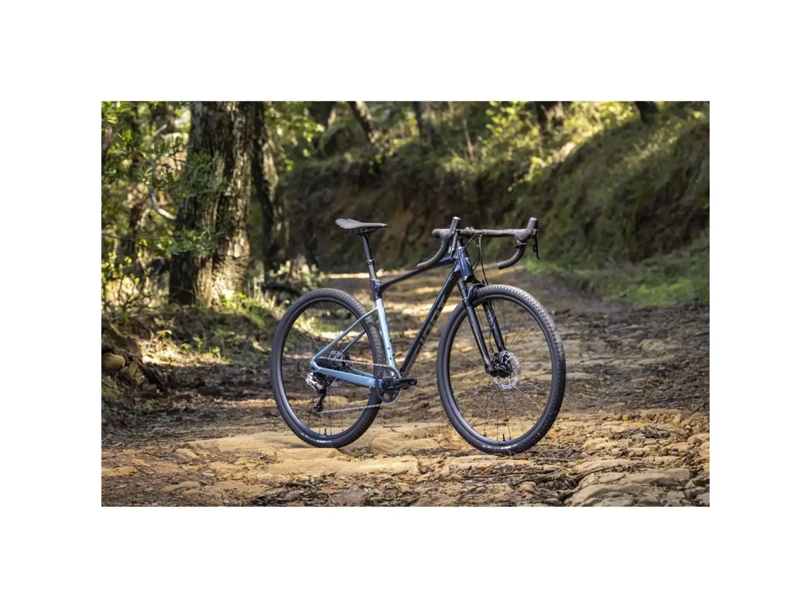 Giant Revolt X 1 gravel rower cold night