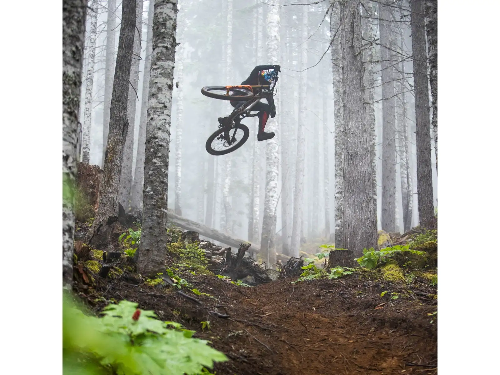 Fox Flexair Pant Goldstone Se męskie spodnie Black