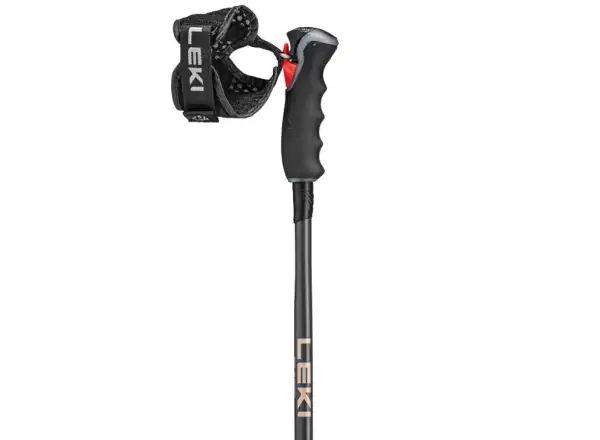 Leki Artena Airfoil 3D narty kije Black/Dark Anthracite/Rosegold