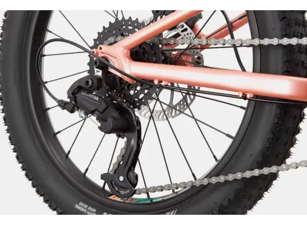 Cannondale Trail Plus 20 rower dziecięcy Salmon