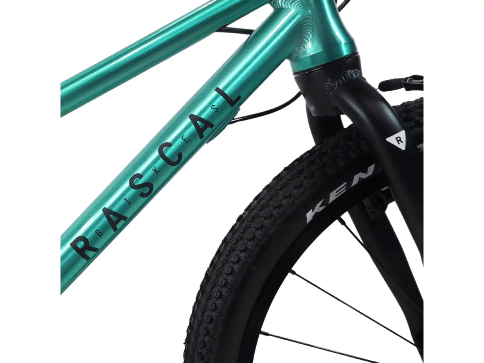 Rascal 20 Limited rower dziecięcy Emerald