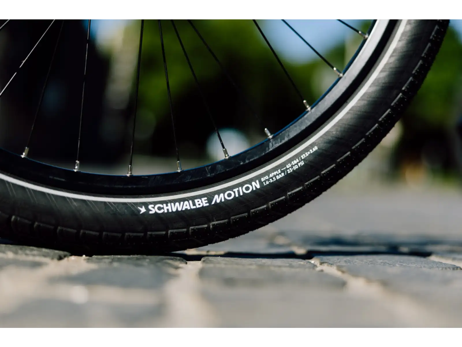Schwalbe Motion Big Apple RaceGuard 20 opona drutowa