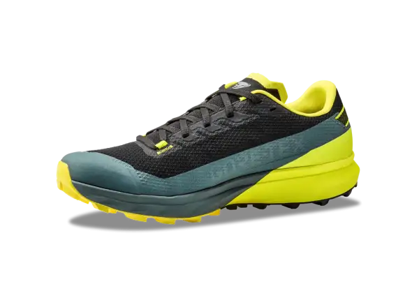 Dynafit Ultra GTX męskie buty do biegania Hurricane/Black Out