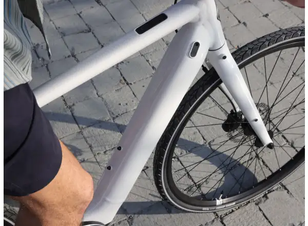 Momentum Voya E+3 miejskie rower elektryczny Lunar