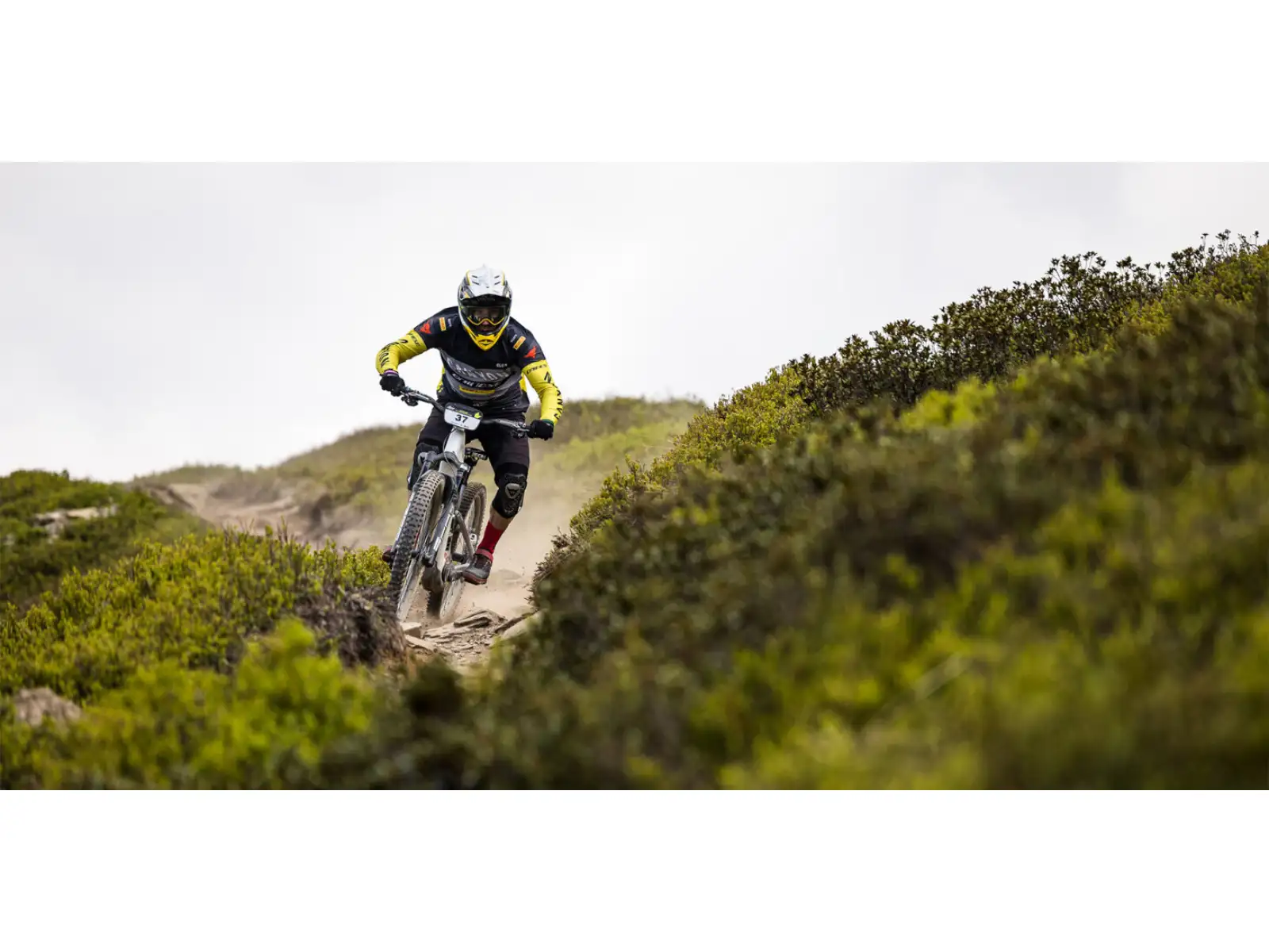 Ergon SM Enduro Pro Titanium Team siodełko Oil Slick