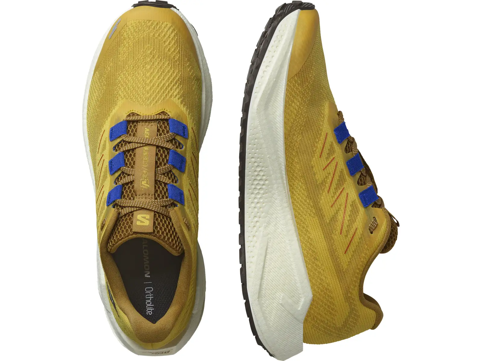 Salomon Aero Blaze 3 GRVL męskie buty do biegania Spicy Mustard