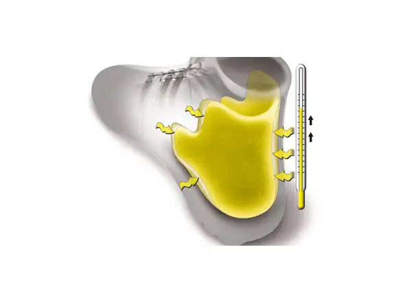 Fischer RC5 COMBI buty do nart biegowych