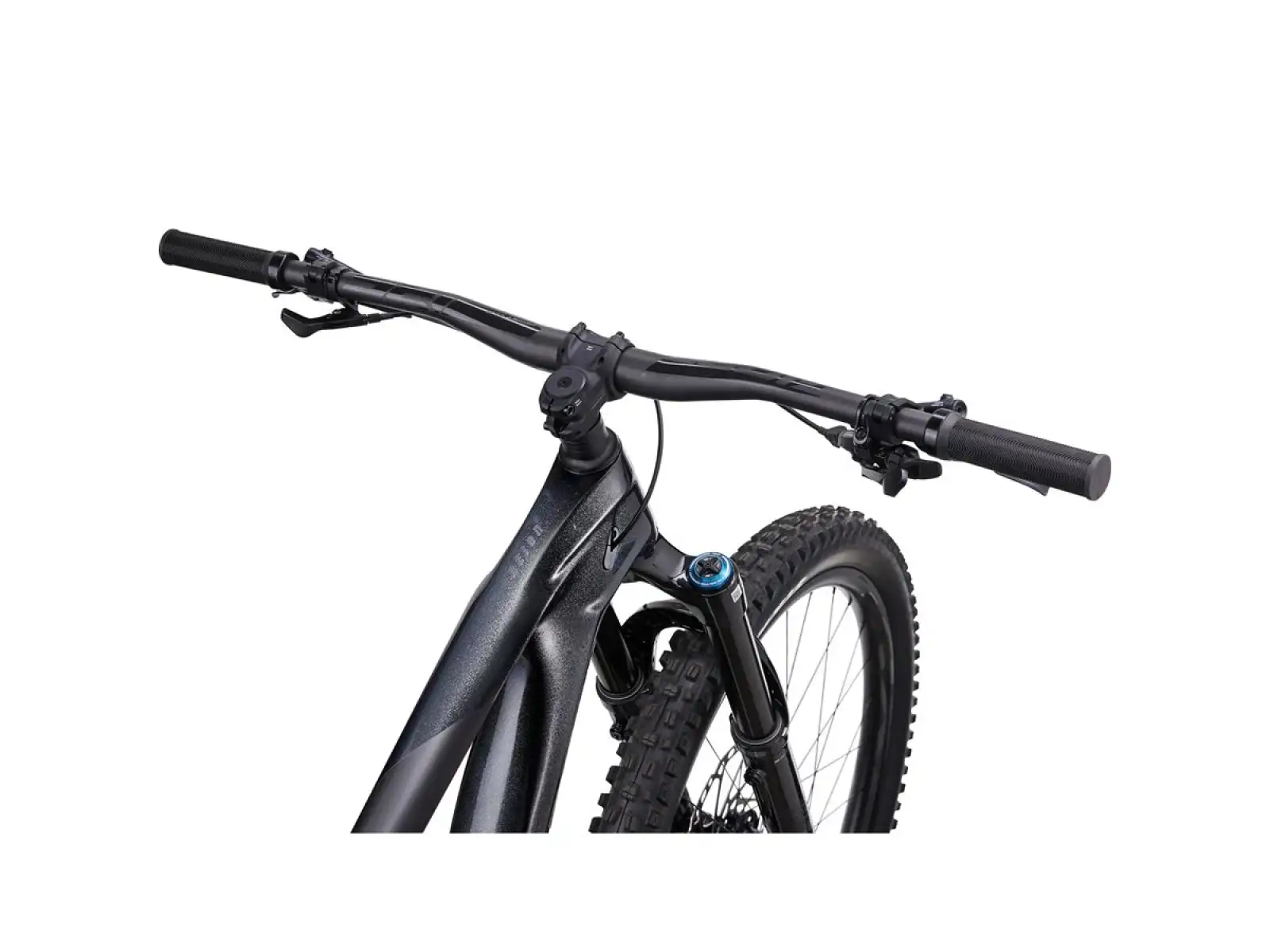 Giant Reign Advanced Pro 1 rower górski black diamond/carbon