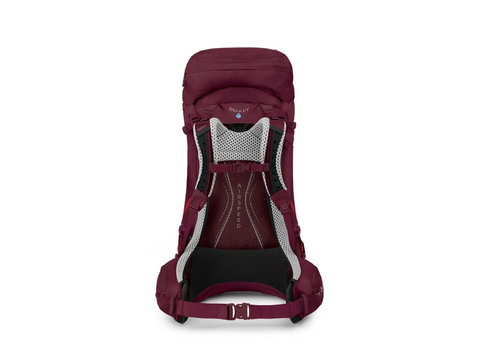 Osprey Aura AG LT plecak 50 l Antidore purple