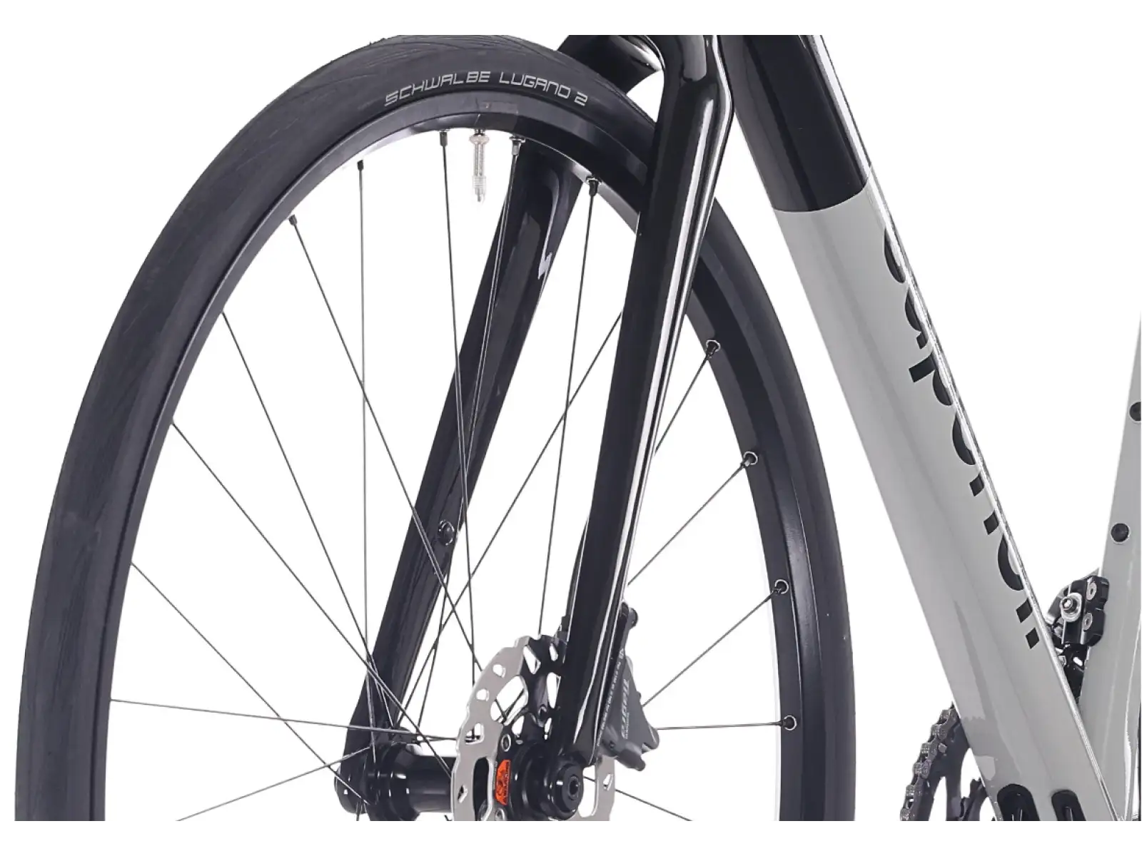 Superior X-Road 6.3 GF rower szosowy gloss grey / black