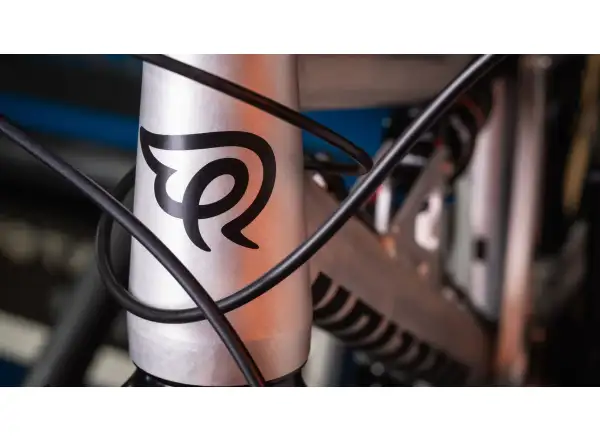 Early Rider Hellion X24 rower dziecięcy Raw