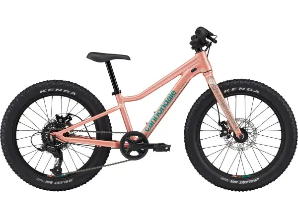 Cannondale Trail Plus 20 rower dziecięcy Salmon