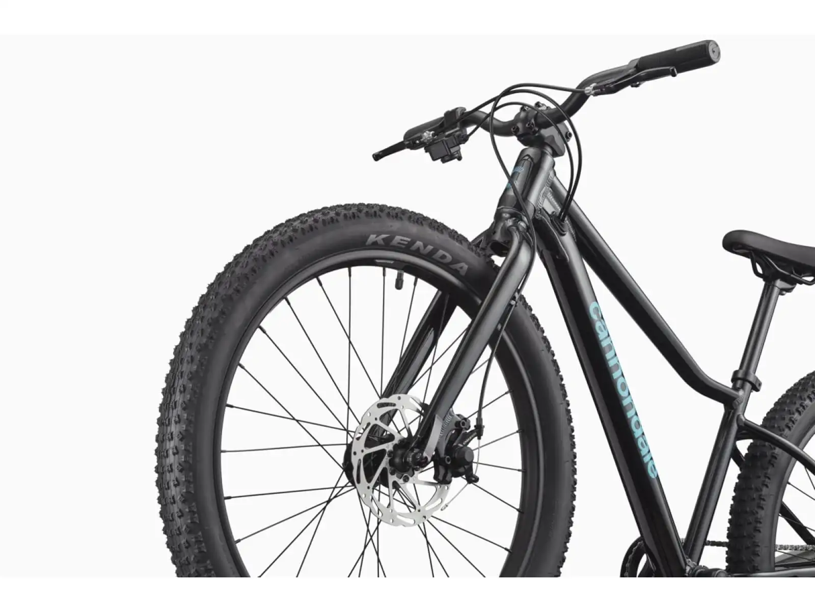 Cannondale Kids Trail Plus 24 rower dziecięcy Black Pearl