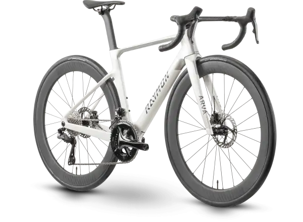 Raymon Arva Pro 24S Ultegra Di2 rower szosowy starwhite/silver