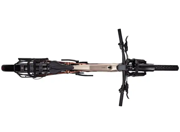 Focus Thron2 6.8 EQP ABS górski rower elektryczny 600 Wh Adamantsilver/Platinumbronze