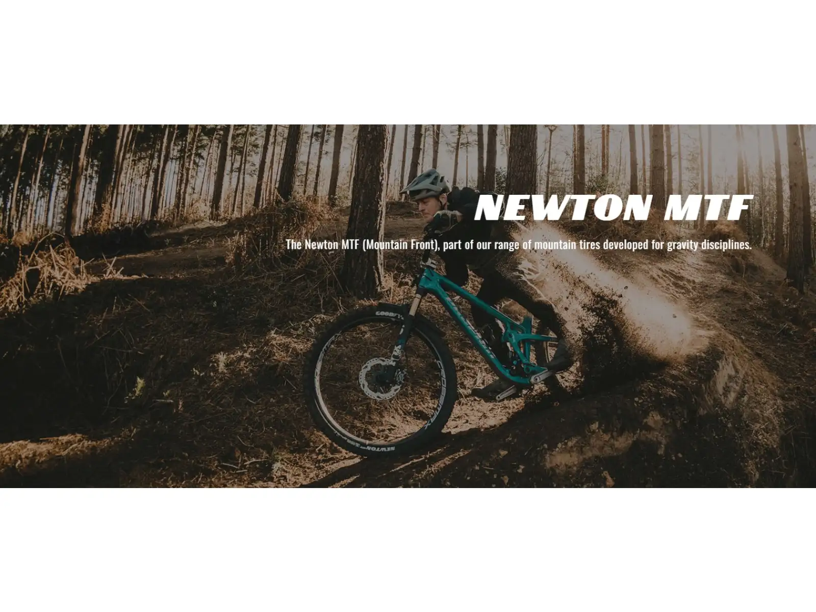 Goodyear Newton MTF Downhill Tubeless Complete 29x2,50" MTB opona kevlar