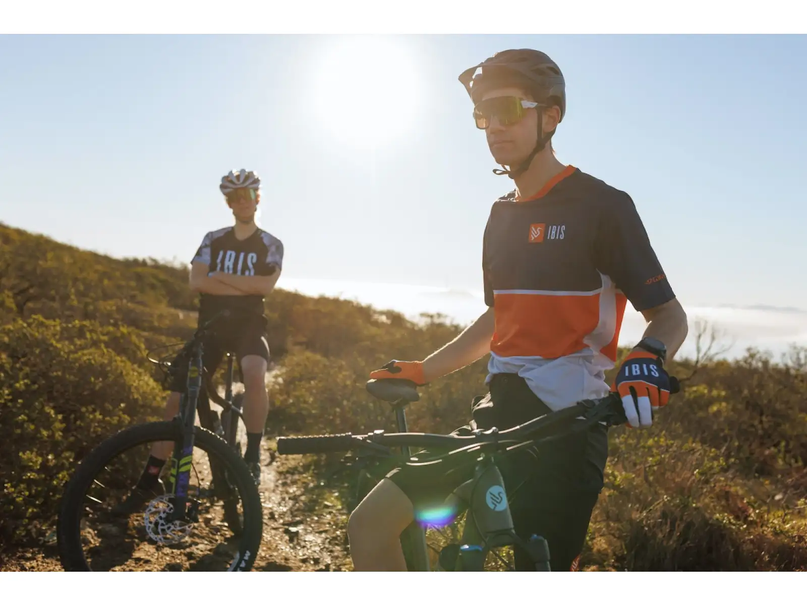 IBIS DV9 frame set Muddy Waters