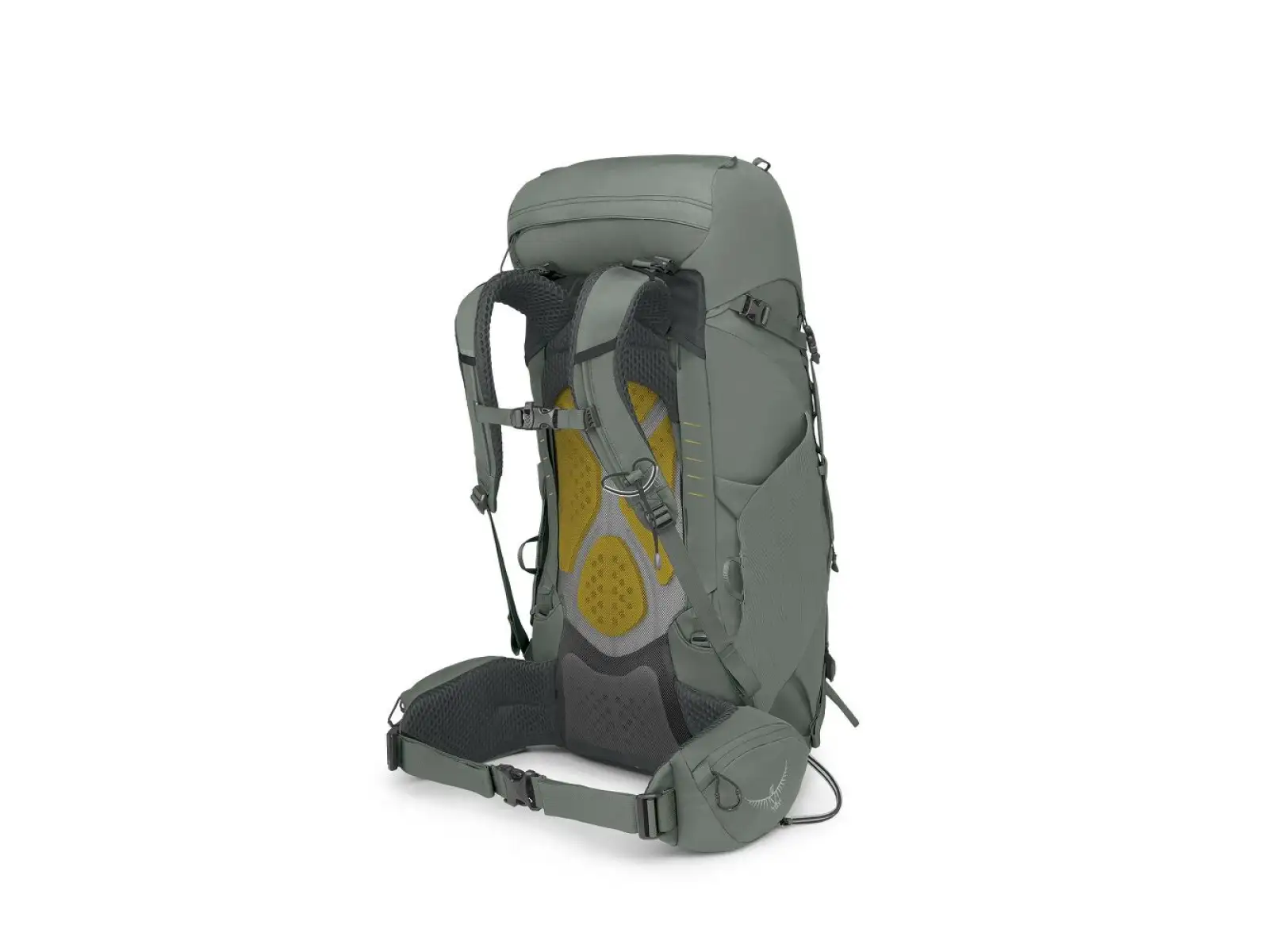 Osprey Kyte plecak 38 l Rocky brook green