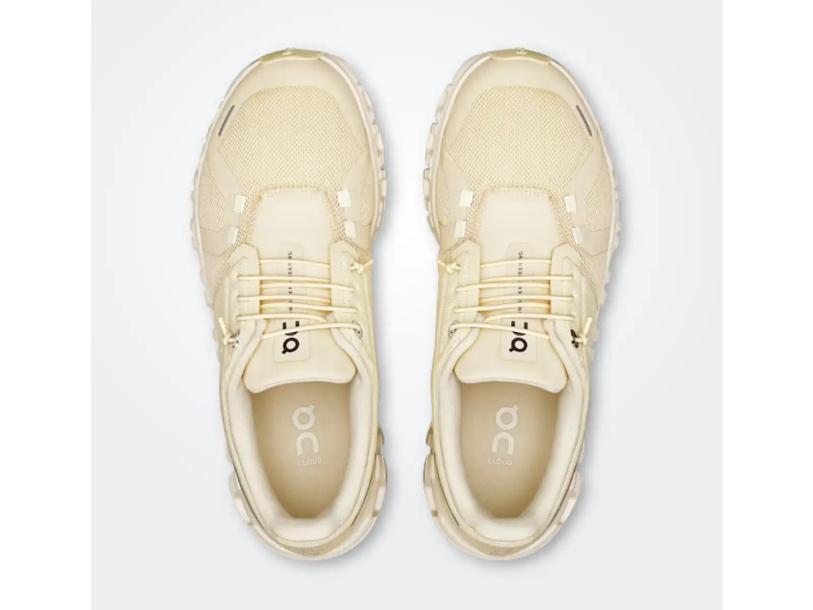 On Cloud 6 damskie buty Castor/Ivory