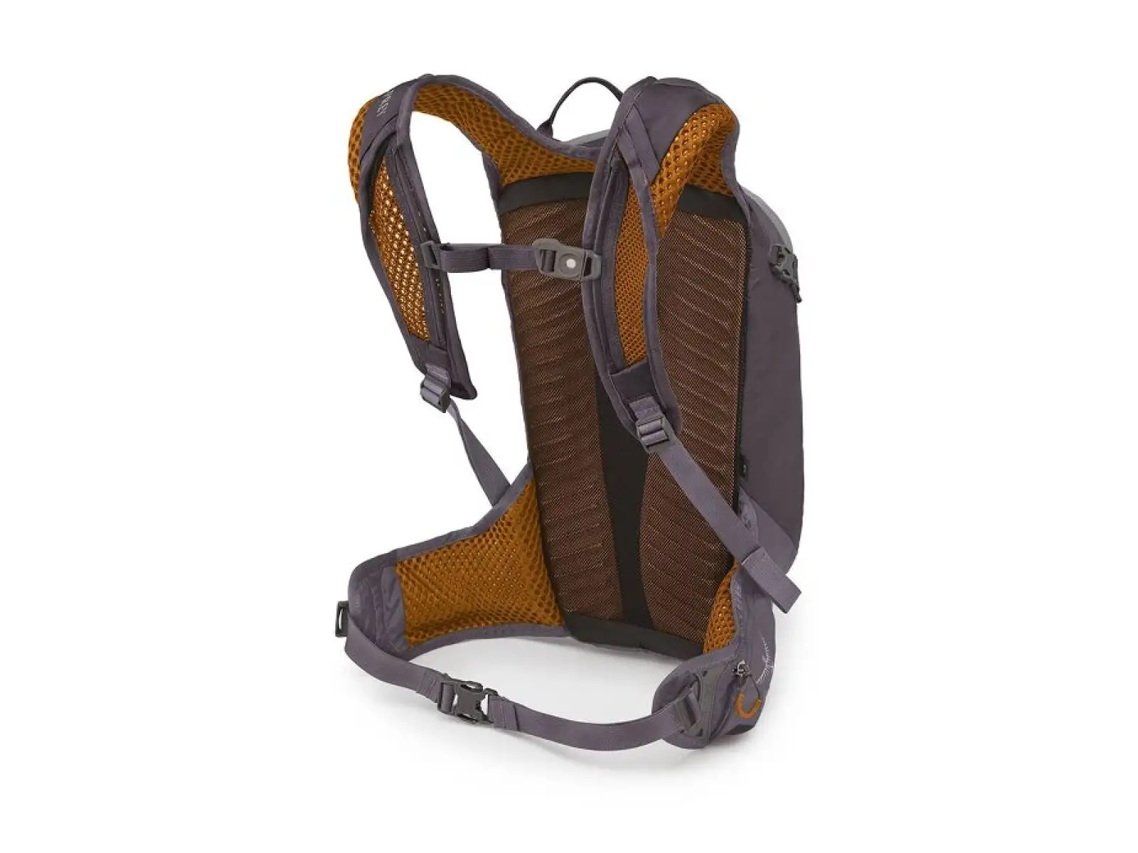 Osprey Salida 12 plecak + bukłak Space Travel Grey