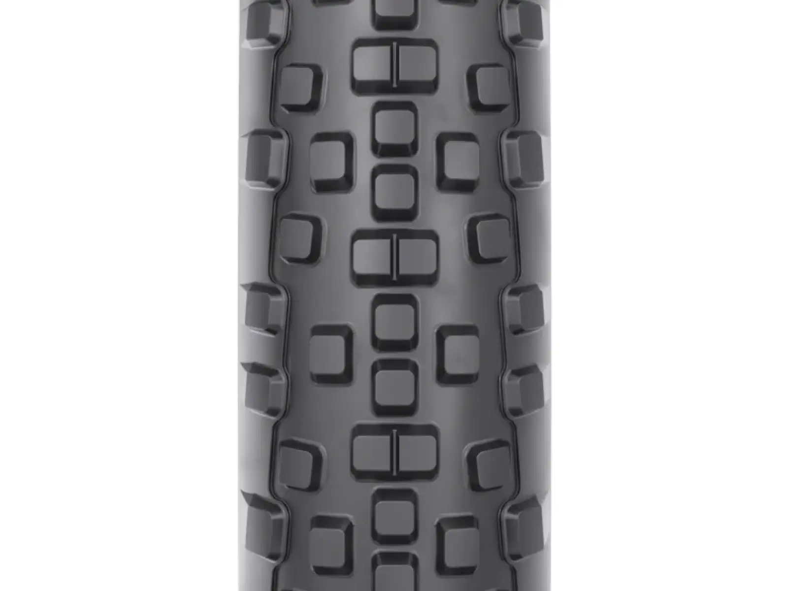 WTB Resolute TCS 28" LFR SG2 gravel opona kevlar czarna/brązowa
