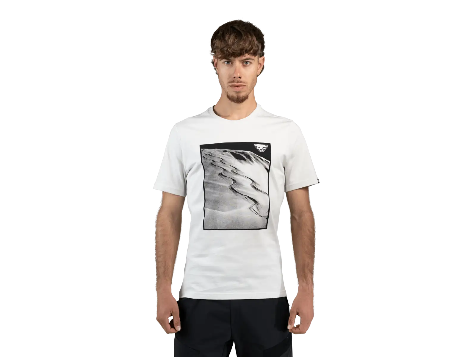 Dynafit Graphic Cotton męska koszulka krótki rękaw Nimbus/First Track