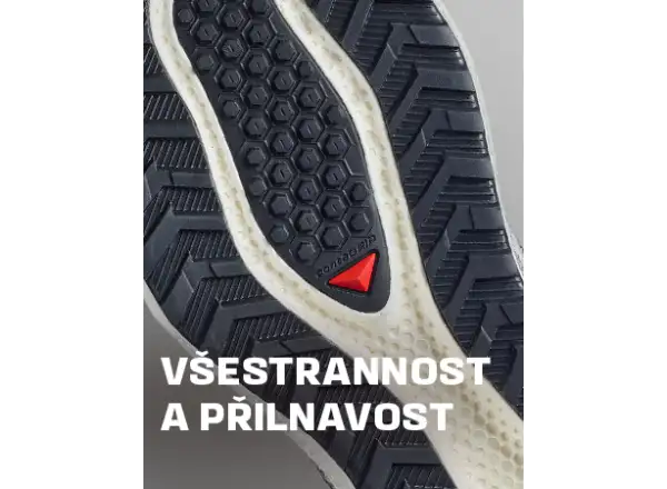 Salomon Aero Glide 4 GRVL męskie buty do biegania Vanila/Black/Iron