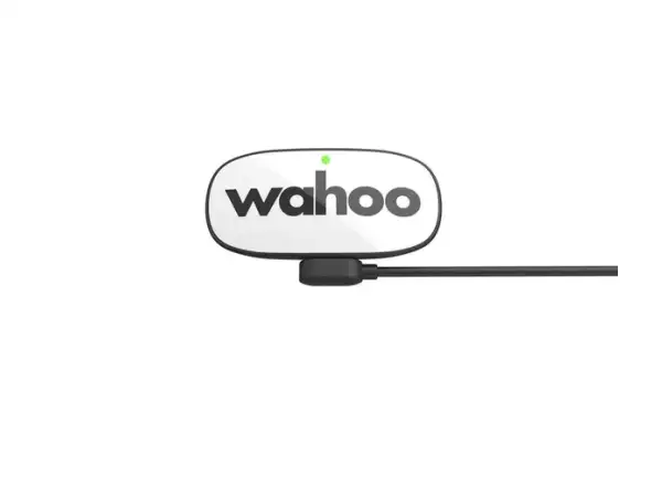 Wahoo TRACKR czujnik tętna