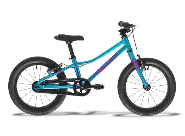 AMULET 16 Tomcat rower dziecięcy celeste blue/purple