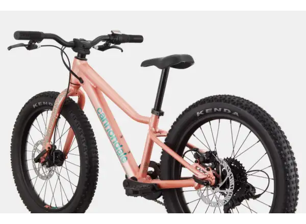 Cannondale Trail Plus 20 rower dziecięcy Salmon
