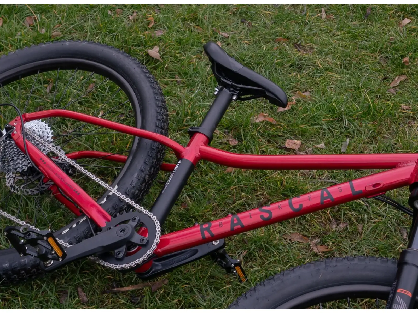 Rascal Wild 20 rower dziecięcy Ruby Red