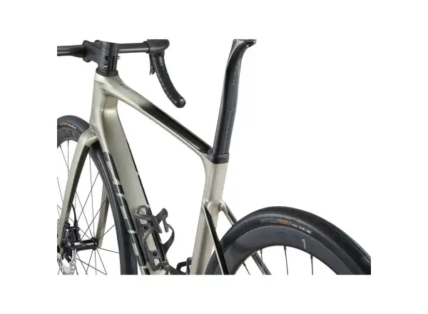 Giant Defy Advanced SL 1 rower szosowy Golden Haze / Panther