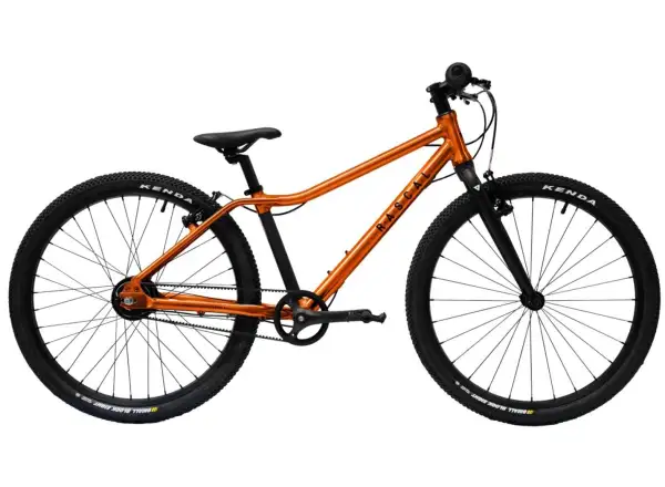 Rascal 24 5 sp. Sturmey Archer dziecięcy rower Flame