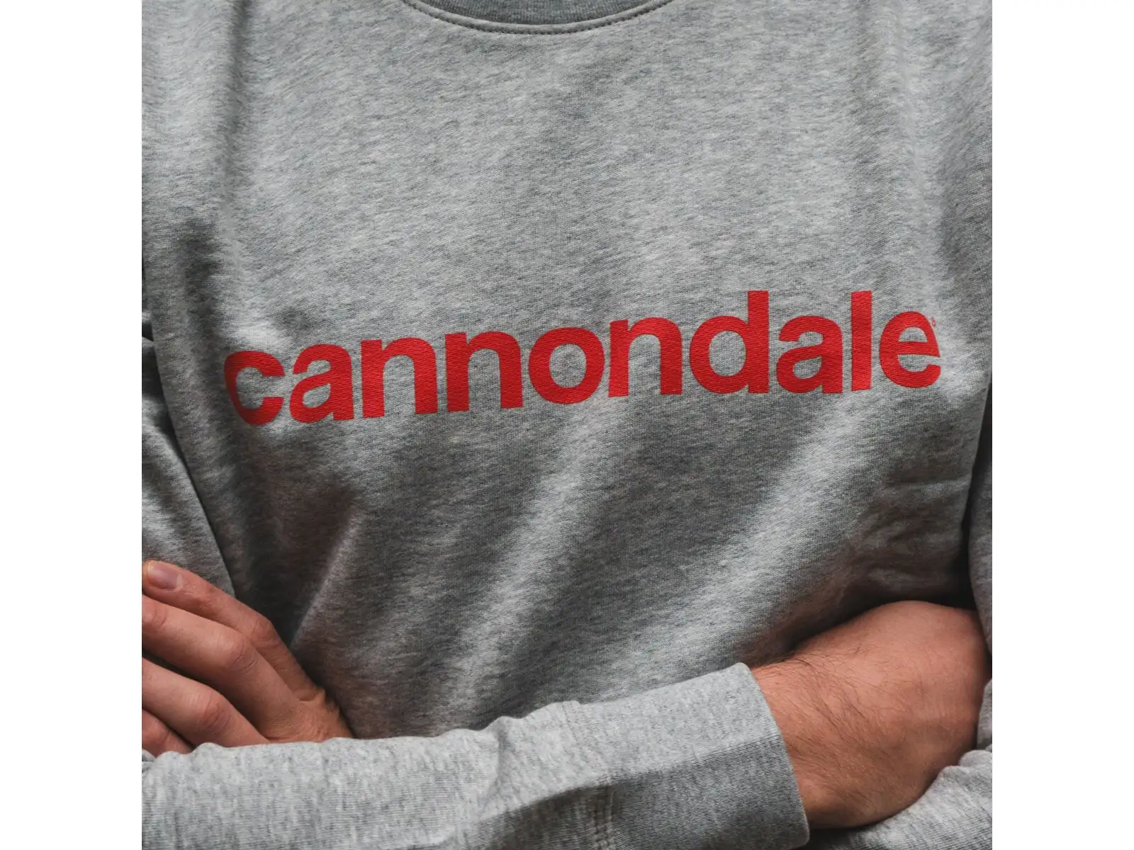Cannondale Lifestyle bluza długi rękaw Heather Grey/Rally Red