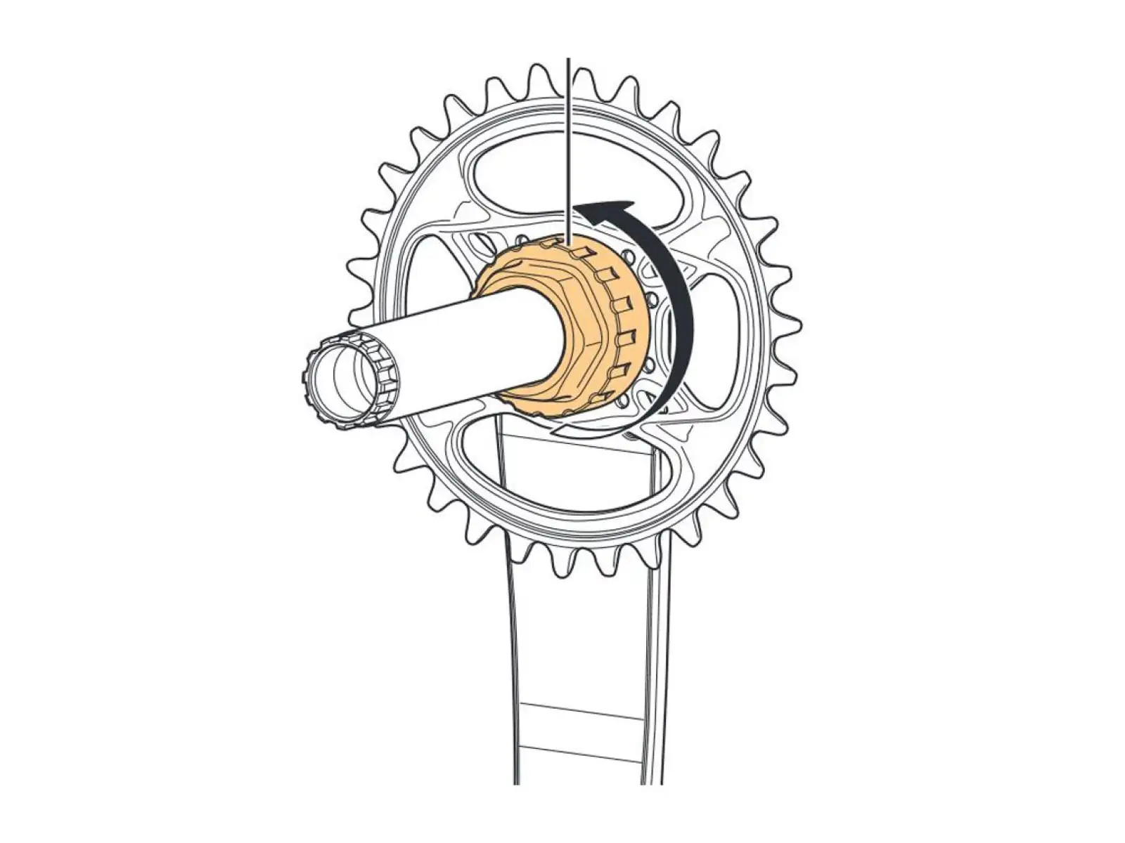 Shimano TL-FC41 klucz do nakrętek 12-rz. zębatek - Y13098720