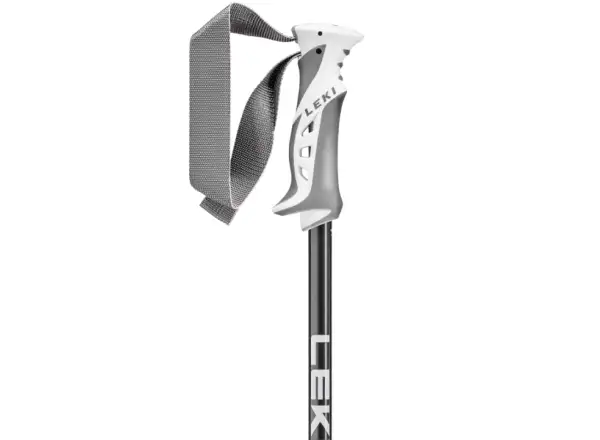 Leki Bliss kijki zjazdowe Gunmetal/Dark Anthracite/White