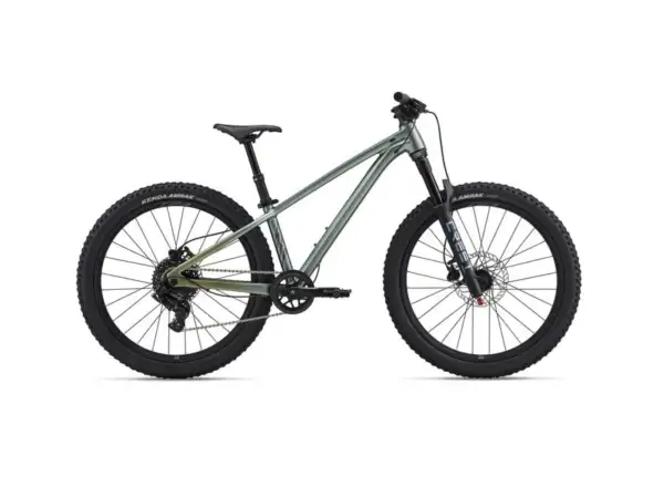 Liv STP 24 dziecięcy rower górski Alpine Green