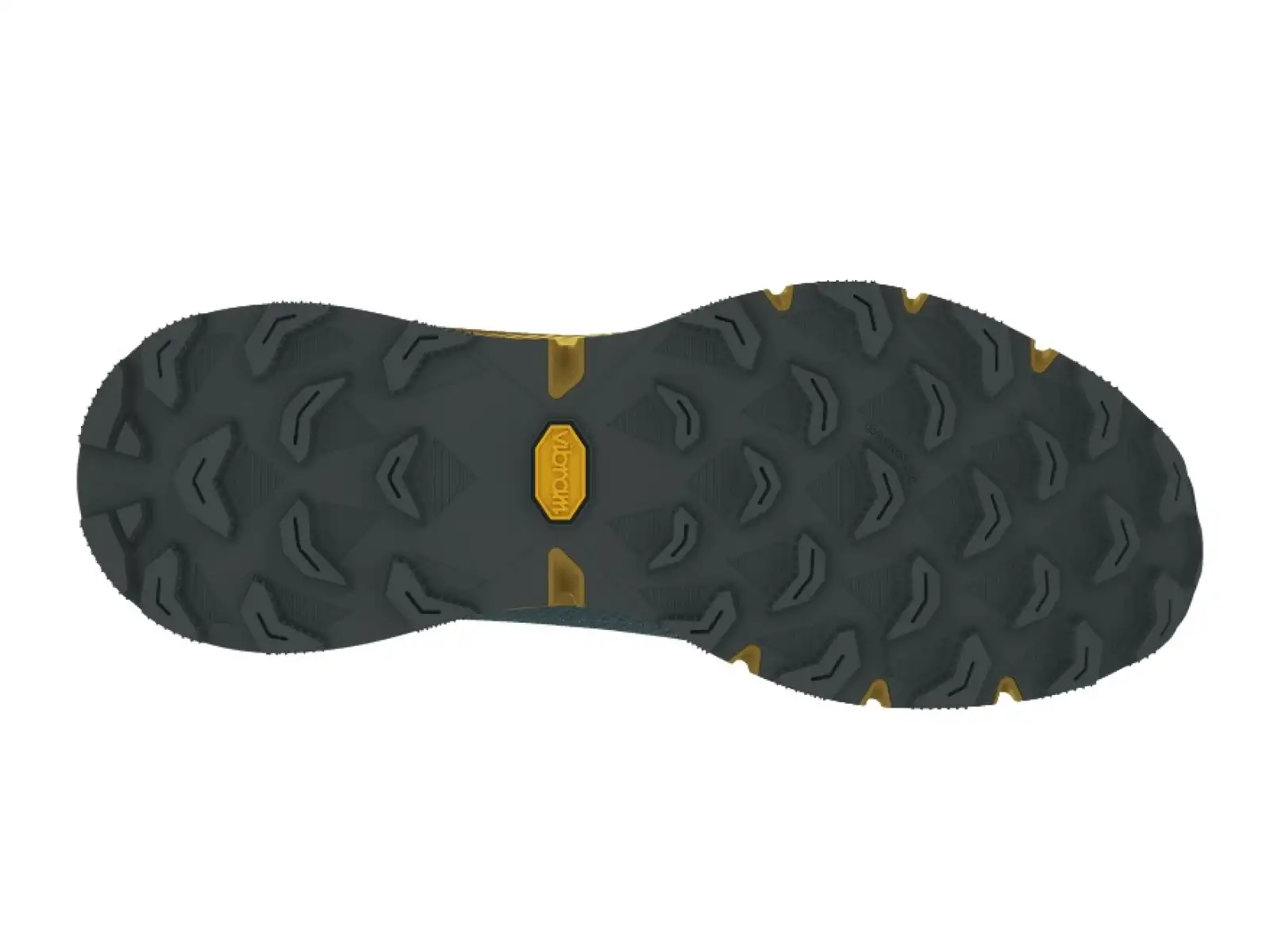 Dynafit Ultra 100 męskie buty do biegania Atlantic/Tobacco