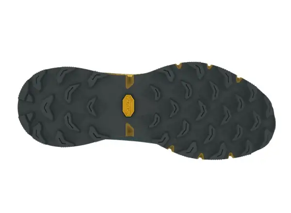 Dynafit Ultra 100 męskie buty do biegania Atlantic/Tobacco