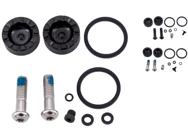 Sram Rival/Apex D1 Caliper Service Kit zestaw tłoczków